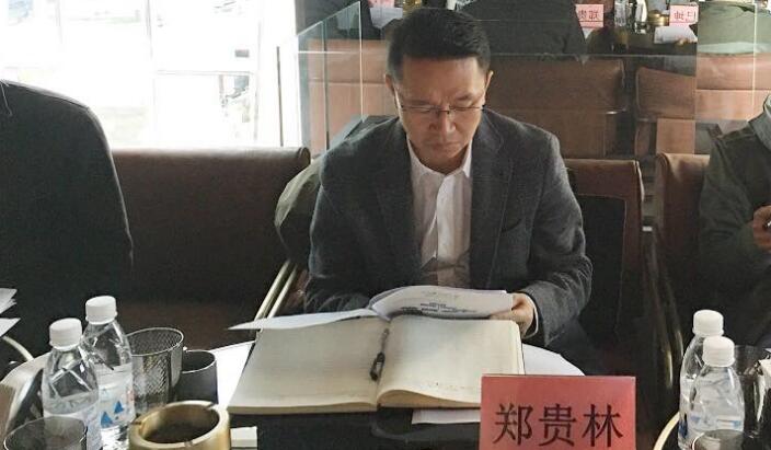 集团领导郑贵林率队调研Z6尊龙凯时商贸投资项目