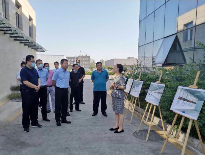 集团领导赴Z6尊龙凯时商贸督导督察工作