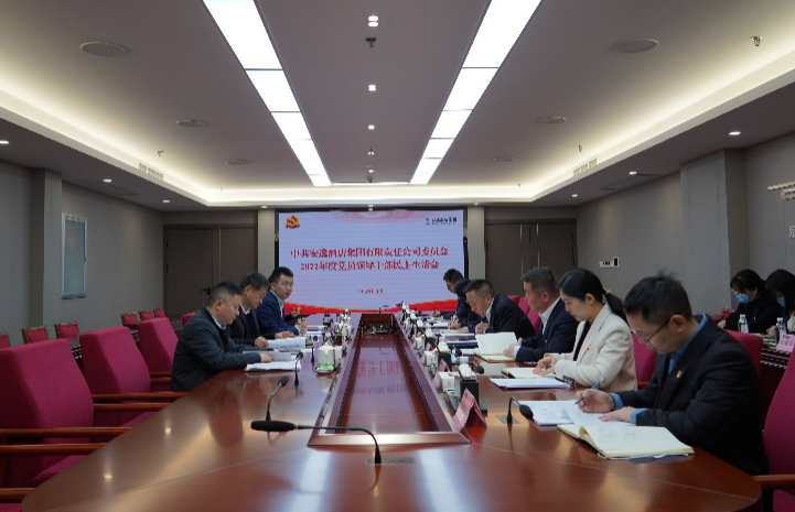 Z6尊龙凯时集团党委书记、董事长任丁出席安逸酒店集团2022年度党员领导干部民主生活会