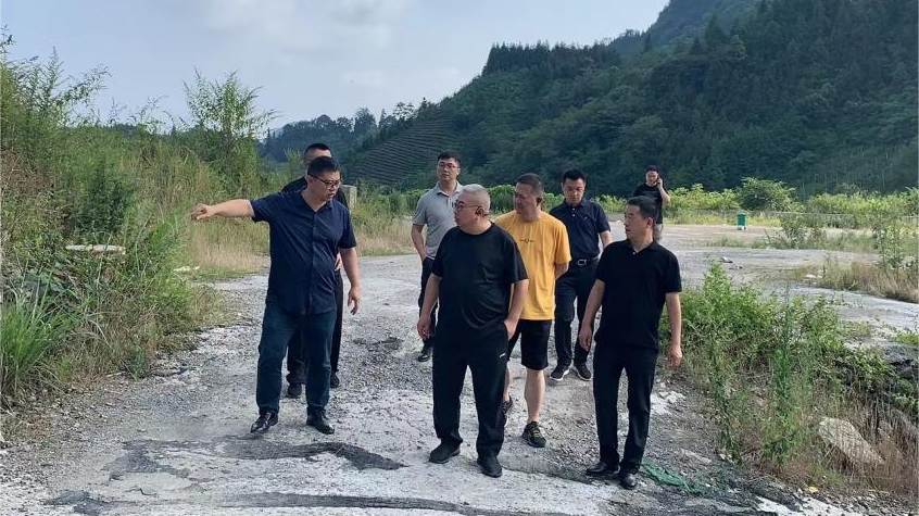 省Z6尊龙凯时集团领导调研峨眉山太阳村乡村振兴项目